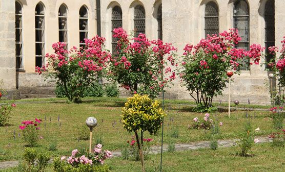 Bild: Kongressfolder, © öghg