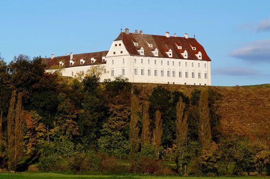 Schloss Juliusburg, Stetteldorf an der Kante des Wagram, Detail